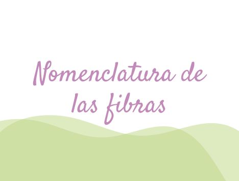 Nomenclatura de las fibras